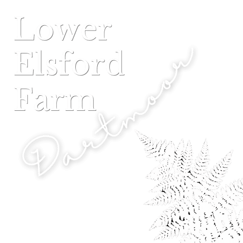 White logo Lower Elsford Farm White logo Lower Elsford Farm