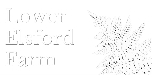 White logo Lower Elsford Farm (500 × 350 px) (2)